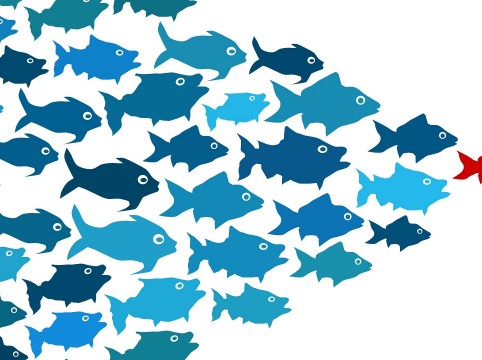 القيادة بالعاطفة